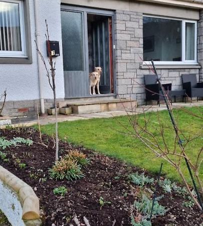 Bb@No17 Bed & Breakfast Aviemore Exterior photo